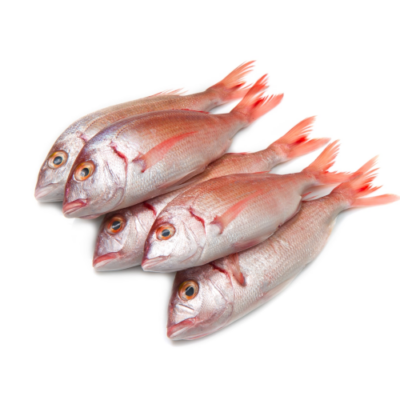 Youfouf P (Pageot) 1Kg