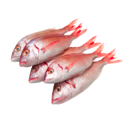 Youfouf G (Pageot) 1Kg