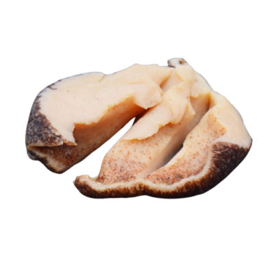 Yet (Moule) 1KG