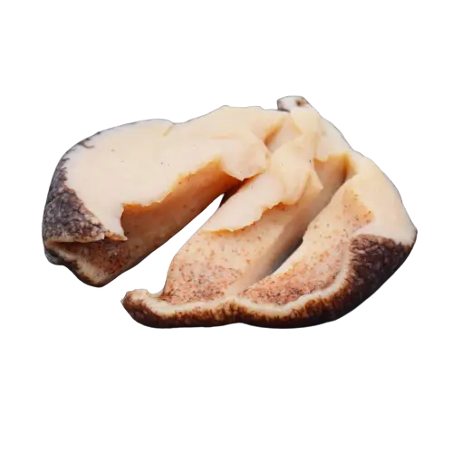 Yet (Moule) 1KG