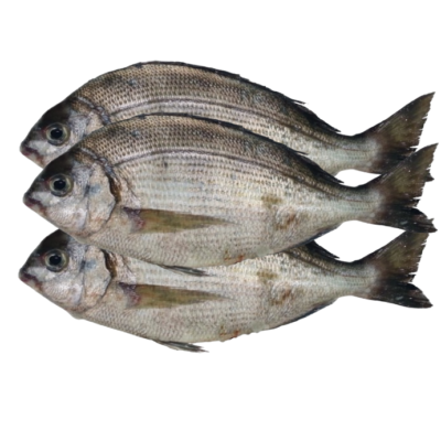 Dorate M (Ngate) 1Kg