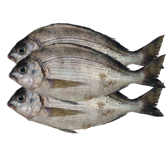 Dorate M (Ngate) 1Kg