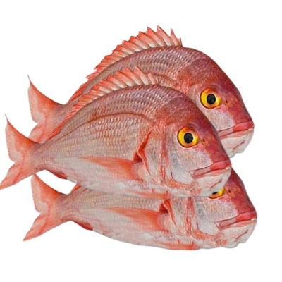 Dorate P (Ngate) 1Kg