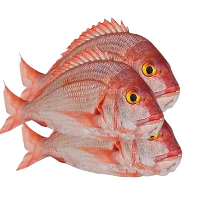 Dorate P (Ngate) 1Kg