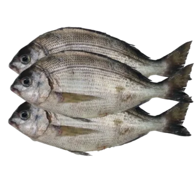 Dorate M (Ngate) 1Kg