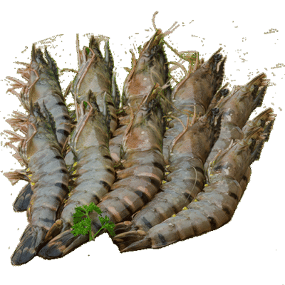 Gambaste (Langouste) 1KG