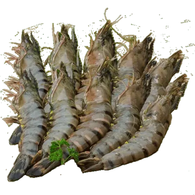 Gambaste (Langouste) 1KG