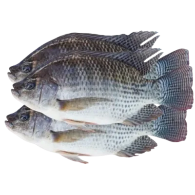 Tilapia (Wass) 1kg