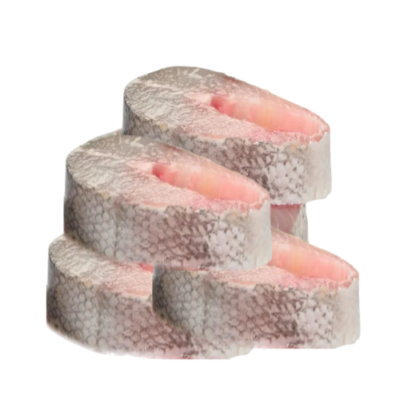 Seud (Barracuda) 1Kg