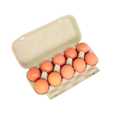 Tablettes de 10 Oeufs Frais