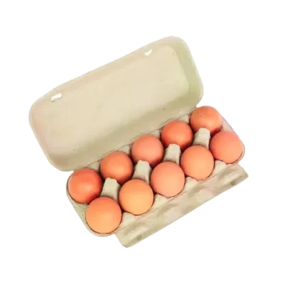 Tablettes de 10 Oeufs Frais