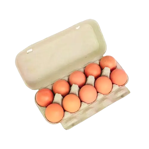 Tablettes de 10 Oeufs Frais