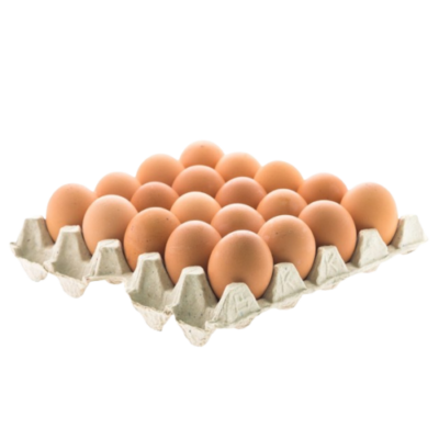 Tablette de 24 Œufs