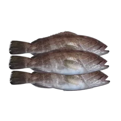 Thiof au Four 1Kg