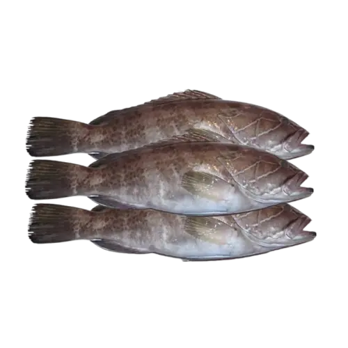 Thiof au Four 1Kg