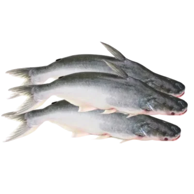 Todjie 1kg