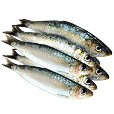 Yaboye (Sardinelle) 1kG