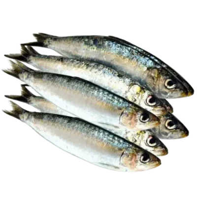Yaboye (Sardinelle) 1kG