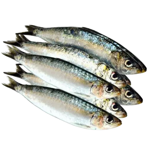 Yaboye (Sardinelle) 1kG