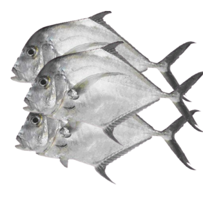 Yawale (Sardinelle Ronde) 1Kg