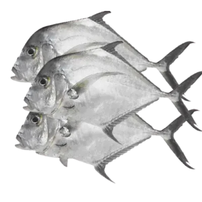 Yawale (Sardinelle Ronde) 1Kg