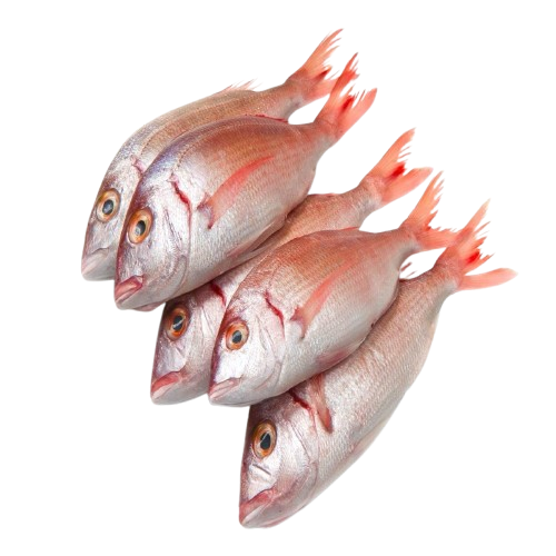 imYouf-removebg-preview